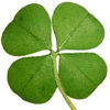 4leafclovers97